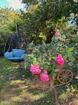 Jardin de l'établissement Au petit bonheur de séraphine