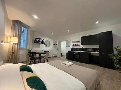 Cuisine ou kitchenette dans l'établissement Acapulco, studio spacieux rénové