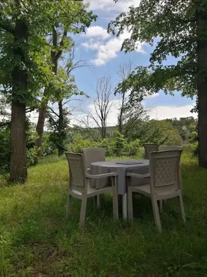 Jardin de l'établissement En pleine verdure