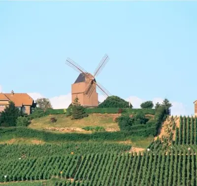 Paysage naturel près de l'appartement