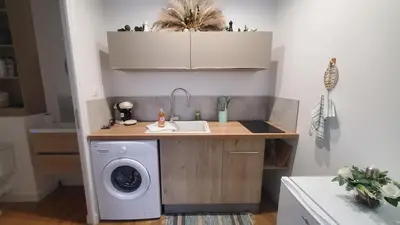 Cuisine ou kitchenette dans l'établissement appartement Le bohème