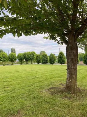 Jardin de l'établissement Studio Voltaire