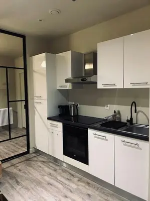 Cuisine ou kitchenette dans l'établissement Appartement art deco Reims