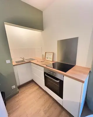 Cuisine ou kitchenette dans l'établissement Appartement Résidence Lenoir - Centre REIMS