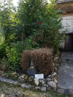Jardin de l'établissement Kotafinlandais