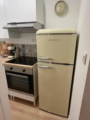 Cuisine ou kitchenette dans l'établissement Appartement Cozy