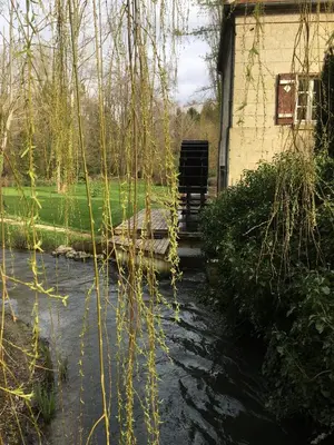 Jardin de l'établissement La maison d'Aurore et Patrice - jacuzzi couvert et jardin privés