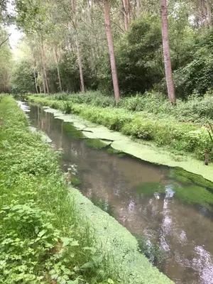 Paysage naturel près de la maison de vacances