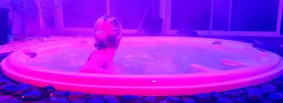 Clients de l'établissement LOVEROOM avec JACCUZI Villa Les Pins