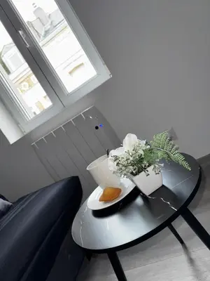 Coin salon dans l'établissement Agréable T2- Centre ville