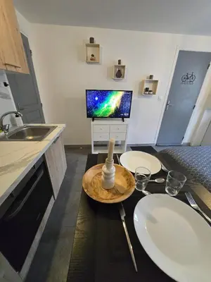 Cuisine ou kitchenette dans l'établissement Cosy Studio Confort