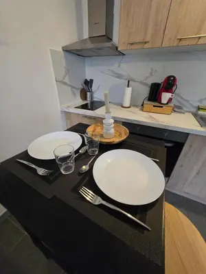 Cuisine ou kitchenette dans l'établissement Cosy Studio Confort