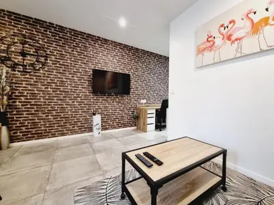 Télévision ou salle de divertissement dans l'établissement Saun arene grand T2 proche gare avec sauna