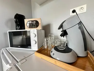 Cuisine ou kitchenette dans l'établissement S Baylevéd'Air duplex vue château, Balnéo et sauna