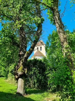 Jardin de l'établissement Grande bâtisse fraîchement rénovée