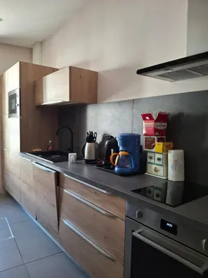 Cuisine ou kitchenette dans l'établissement Le pressoir de Nestor
