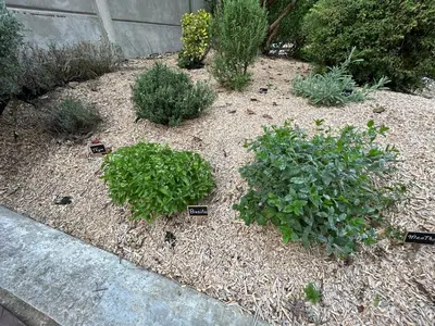 Jardin de l'établissement Gîte des Coteaux Sézannais