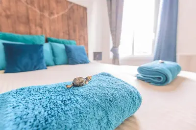 Un ou plusieurs lits dans un hébergement de l'établissement Azul Cosy charmant proche centre