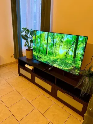 Télévision ou salle de divertissement dans l'établissement Le Shamma lodge