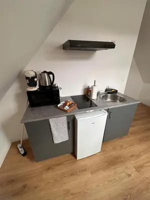 Cuisine ou kitchenette dans l'établissement Cozy studio 5