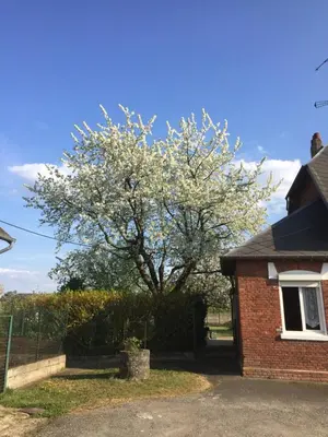 Jardin de l'établissement Ferme clastres