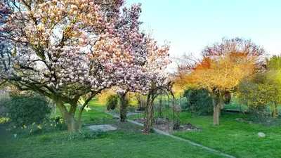 Jardin de l'établissement Chambre Privée chez Guillaume