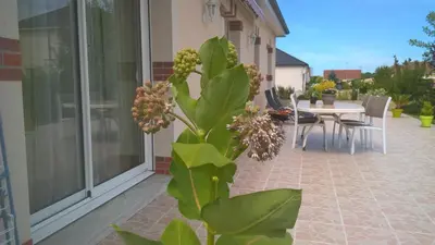 Jardin de l'établissement L'Escapade