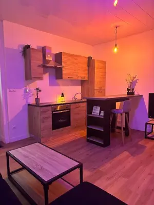 Cuisine ou kitchenette dans l'établissement T2 bords de Meuse