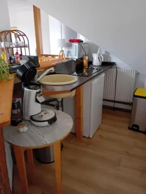 Cuisine ou kitchenette dans l'établissement Les Hirondelles