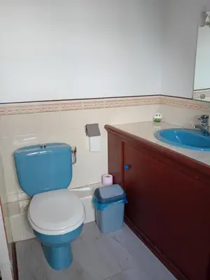 Salle de bains dans l'établissement Les Hirondelles
