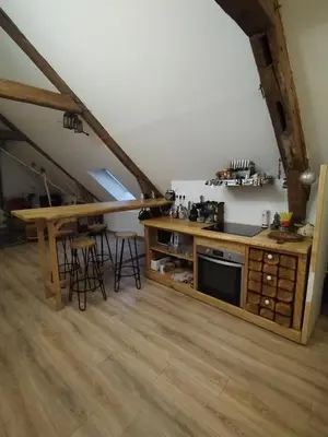 Cuisine ou kitchenette dans l'établissement Appartement cœur de ville, studio artistique