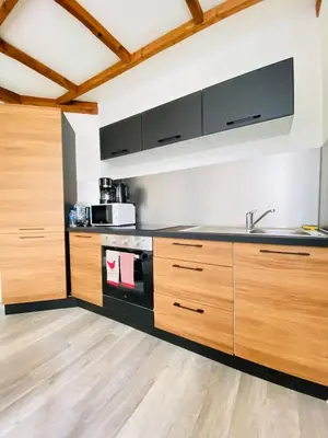 Cuisine ou kitchenette dans l'établissement Rez-de-chaussée Saint Marcel jardin partagé
