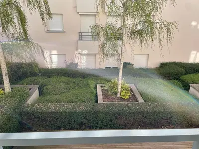 Jardin de l'établissement Grenier a sel hyper centre magnifique studio