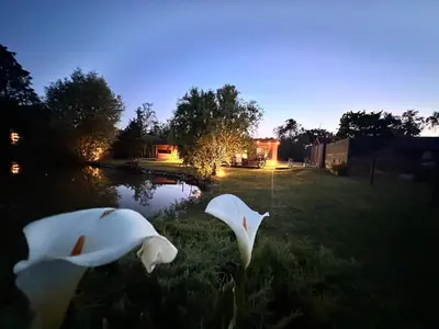 Jardin de l'établissement Cottage Le Rosie au bord du lac avec jacuzzi