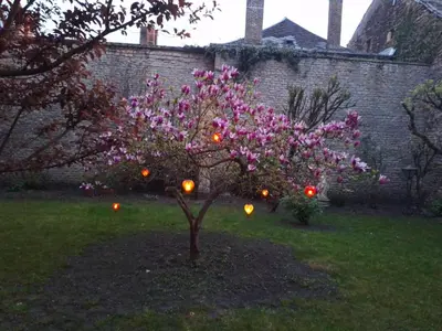 Jardin de l'établissement Le temps suspendu