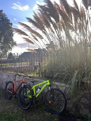Vélo sur le terrain de l'établissement Le photo studio ou dans les environs