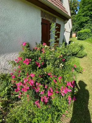 Jardin de l'établissement Jolie duplex avec vue sur forêt