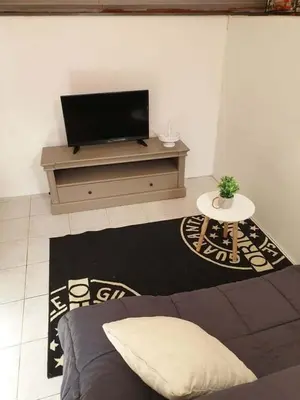 Télévision ou salle de divertissement dans l'établissement Studio gare et commerces sur place