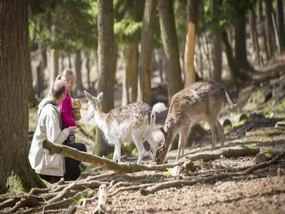 Animaux dans l'appartement ou à proximité