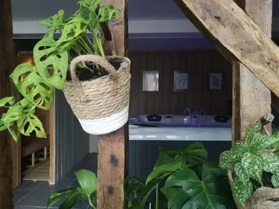 Jardin de l'établissement Évasion nature et bien-être - SPA - Petit Déjeuner