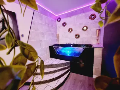 Télévision ou salle de divertissement dans l'établissement Orphelin2 balnéo plaisir & détente au centre ville