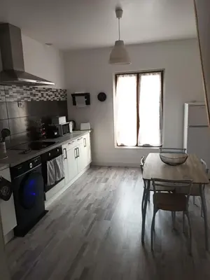 Cuisine ou kitchenette dans l'établissement Appartement cosy