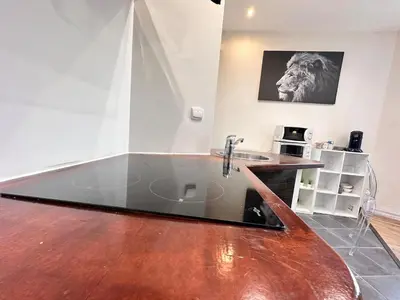 Cuisine ou kitchenette dans l'établissement Carreret chic et cocon proche centre ville