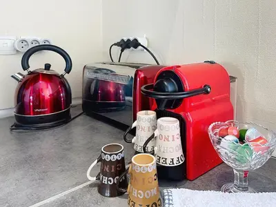 Cuisine ou kitchenette dans l'établissement La Maison des Hirondelles