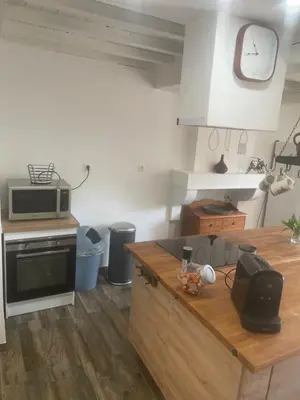 Cuisine ou kitchenette dans l'établissement Gîte 3 chambres avec terrasse privée Calme & nature
