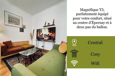 Télévision ou salle de divertissement dans l'établissement E Gambetta T3 au pied de l avenue de champagne
