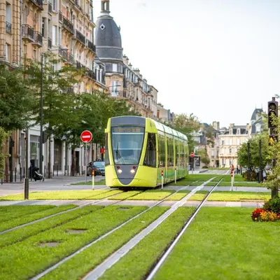 Jardin de l'établissement Cozy apartment - Downtown Place d'Erlon