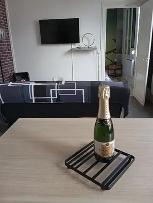 Télévision ou salle de divertissement dans l'établissement la loge sparnacienne