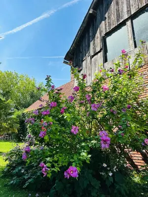Jardin de l'établissement 19th century farm house with pool in Champagne