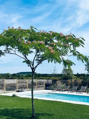 Piscine de l'établissement 19th century farm house with pool in Champagne ou située à proximité